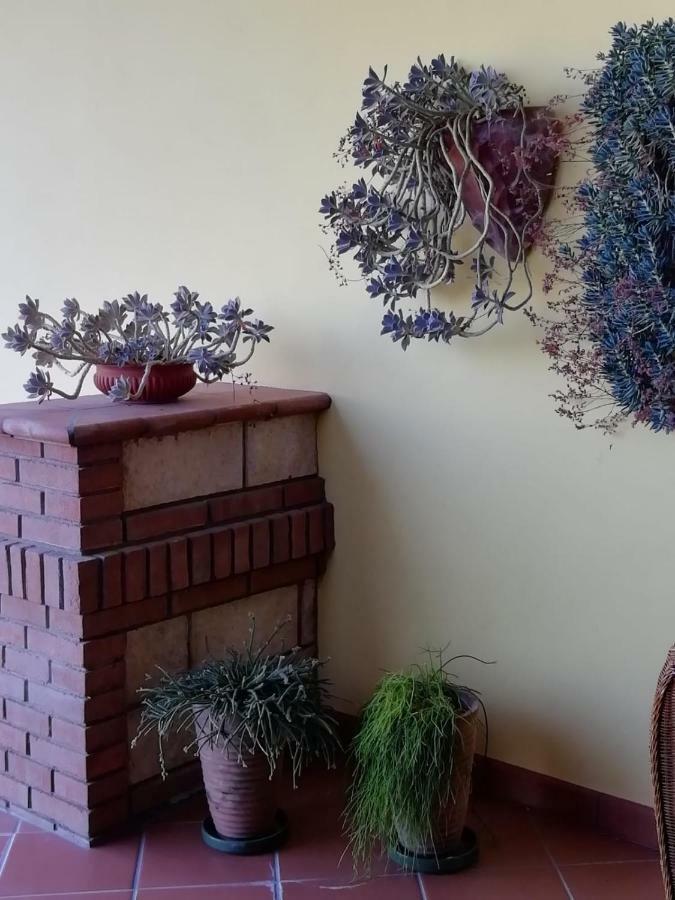 Bed and Breakfast Il Melograno Калитри Экстерьер фото